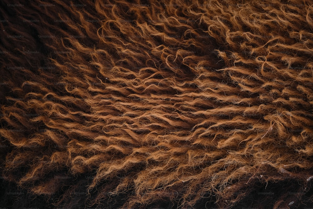 a close up view of the fur of a sheep