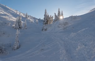 the sun shines brightly on a snowy mountain