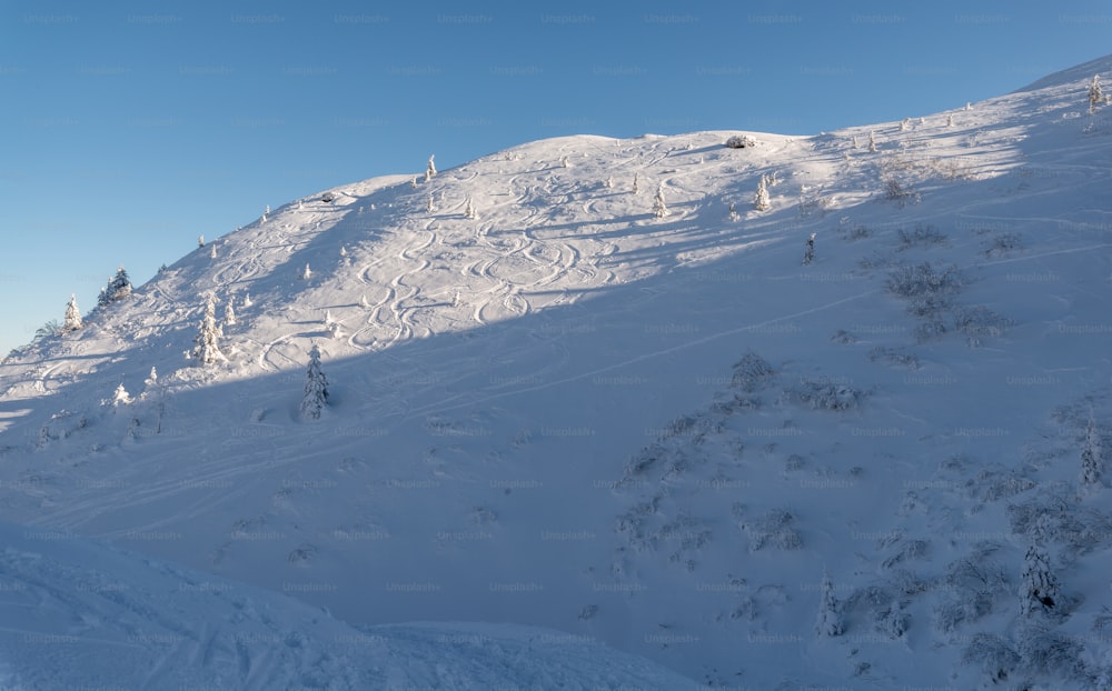 a snow covered mountain with trees on the side