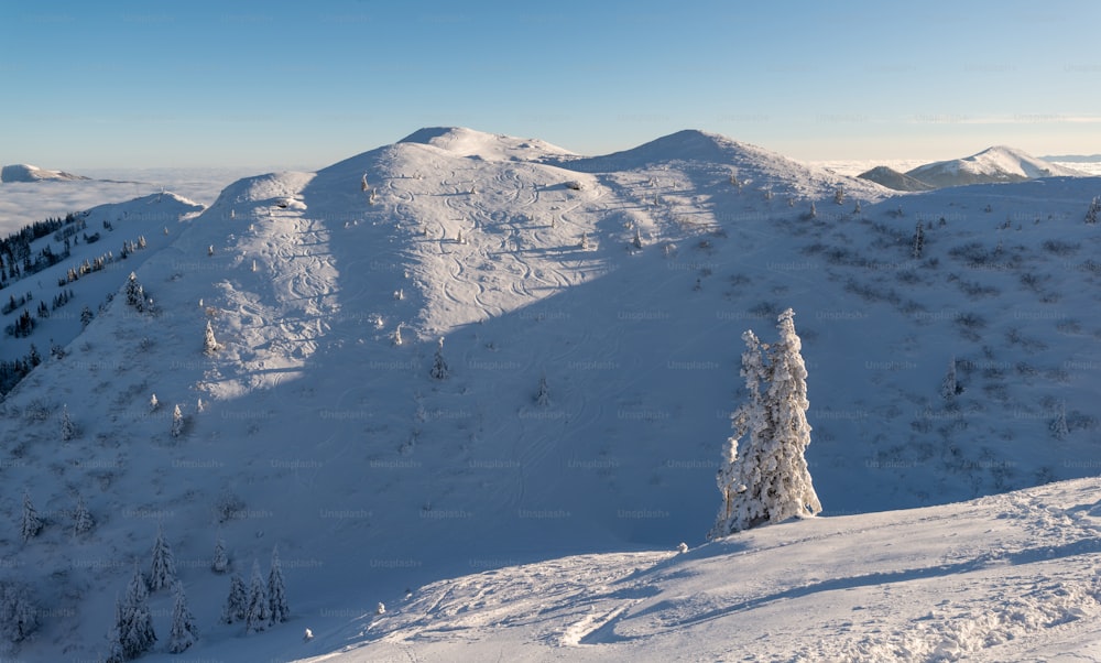 a snow covered mountain with trees on the side