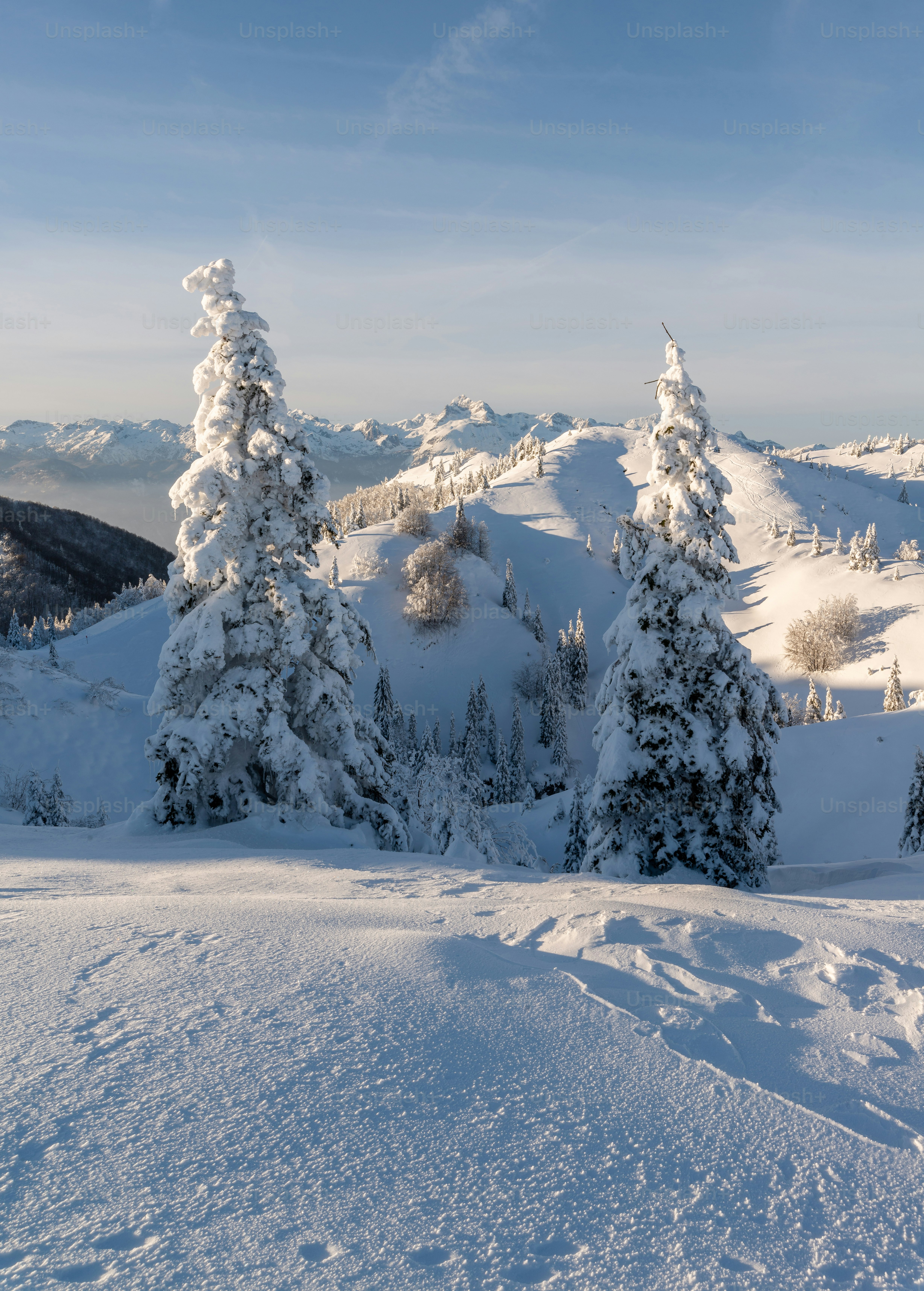 seseorang di atas ski berdiri di salju