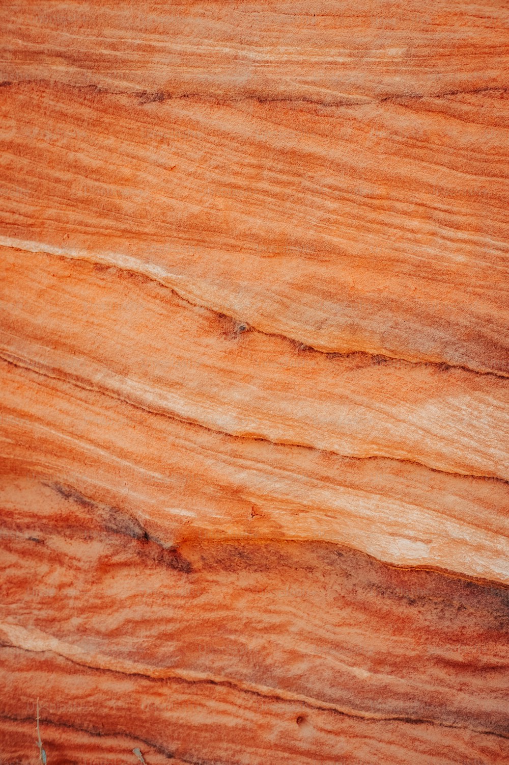 Un primo piano di una superficie di legno che sembra legno