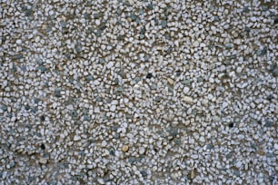 a close up of rocks and gravel on the ground