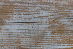 un morceau de bois teinté en blanc