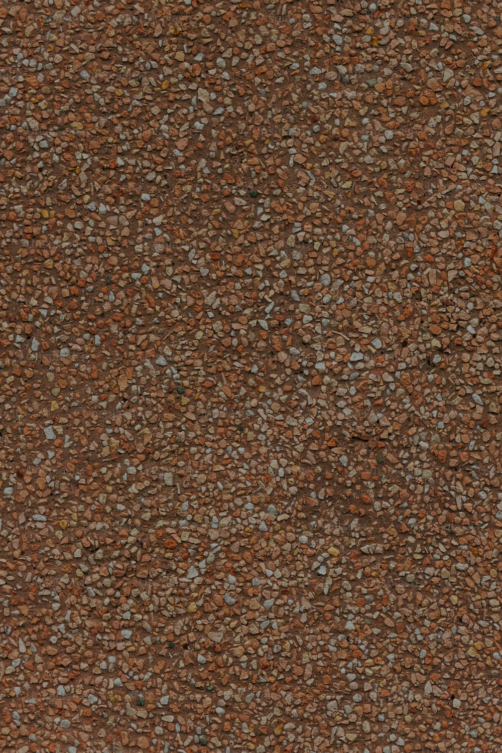 Un perro marrón y blanco acostado encima de una alfombra marrón