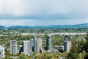 a view of a city with mountains in the background