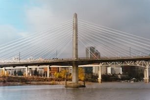 a bridge over a body of water with buildings in the background