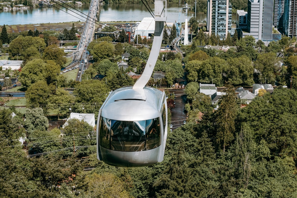 a silver train traveling through a lush green forest