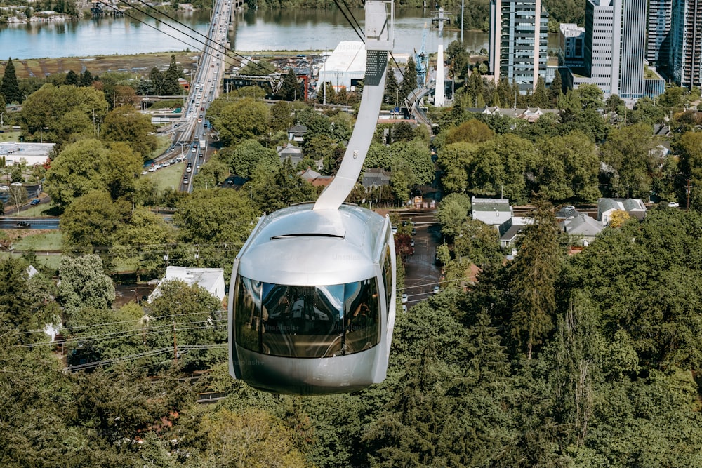 Un treno d'argento che viaggia attraverso una lussureggiante foresta verde