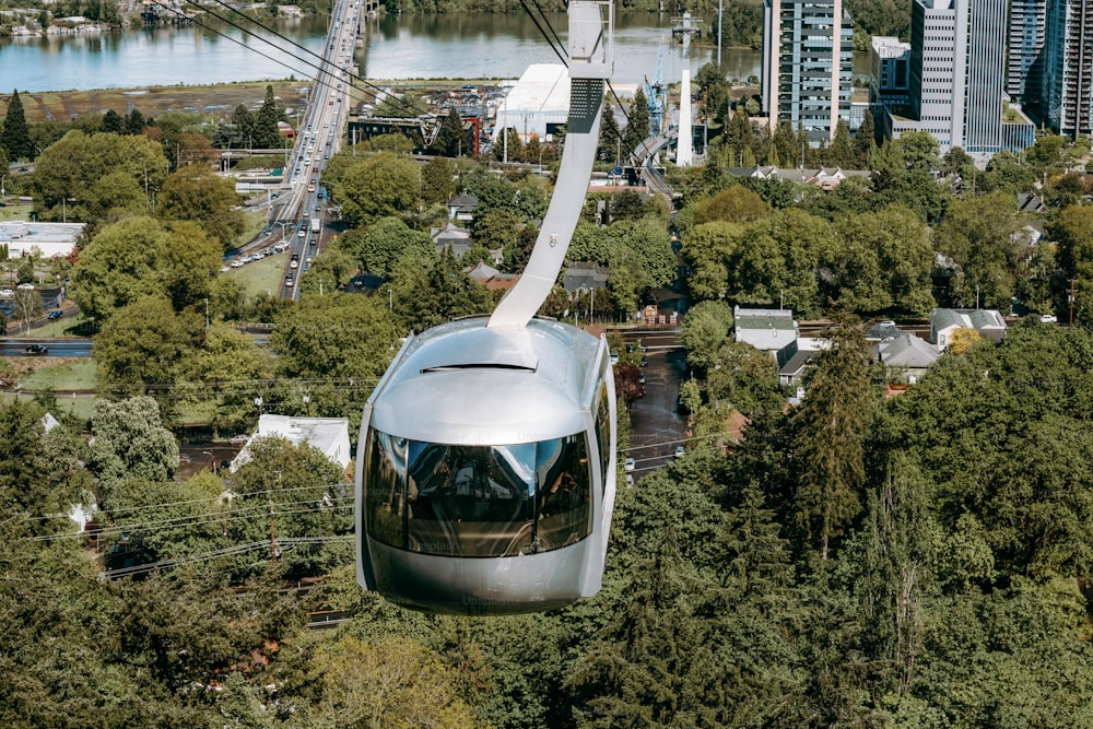a silver train traveling through a lush green forest