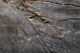 a close up of a rock face with cracks in it