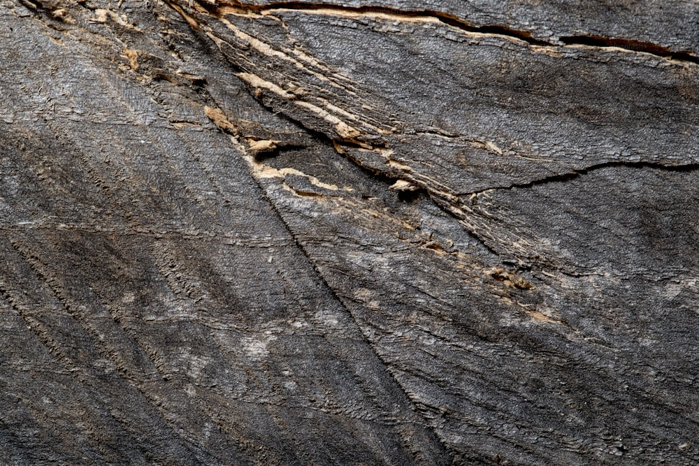 a close up of a rock face with cracks in it