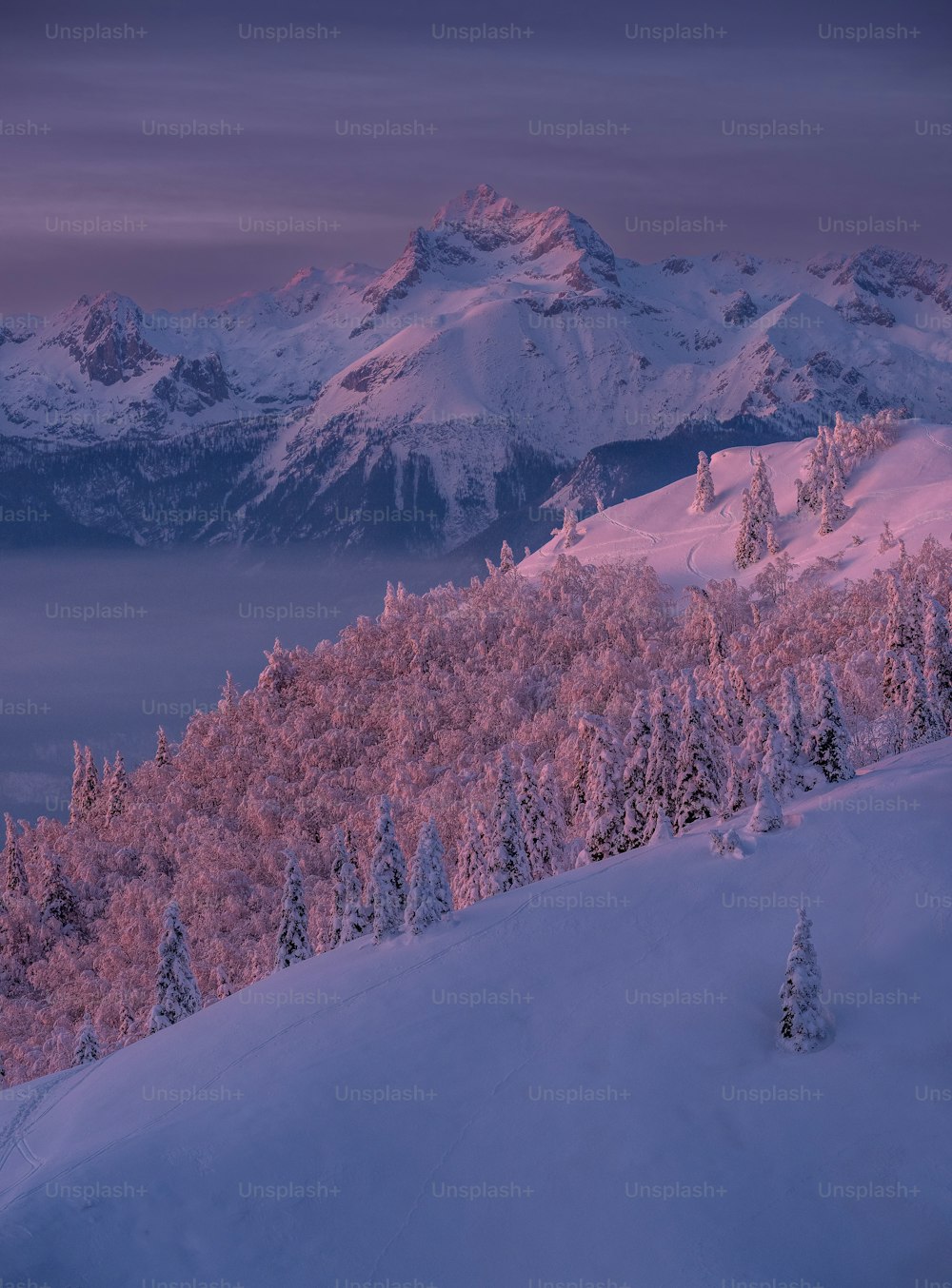 uma montanha coberta de neve com árvores e montanhas ao fundo