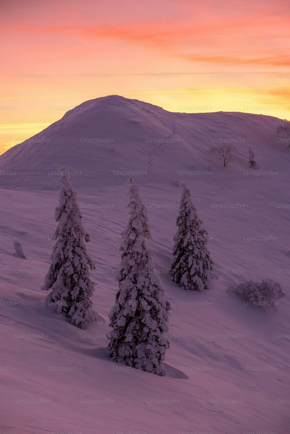 a group of snow covered trees sitting on top of a snow covered slope