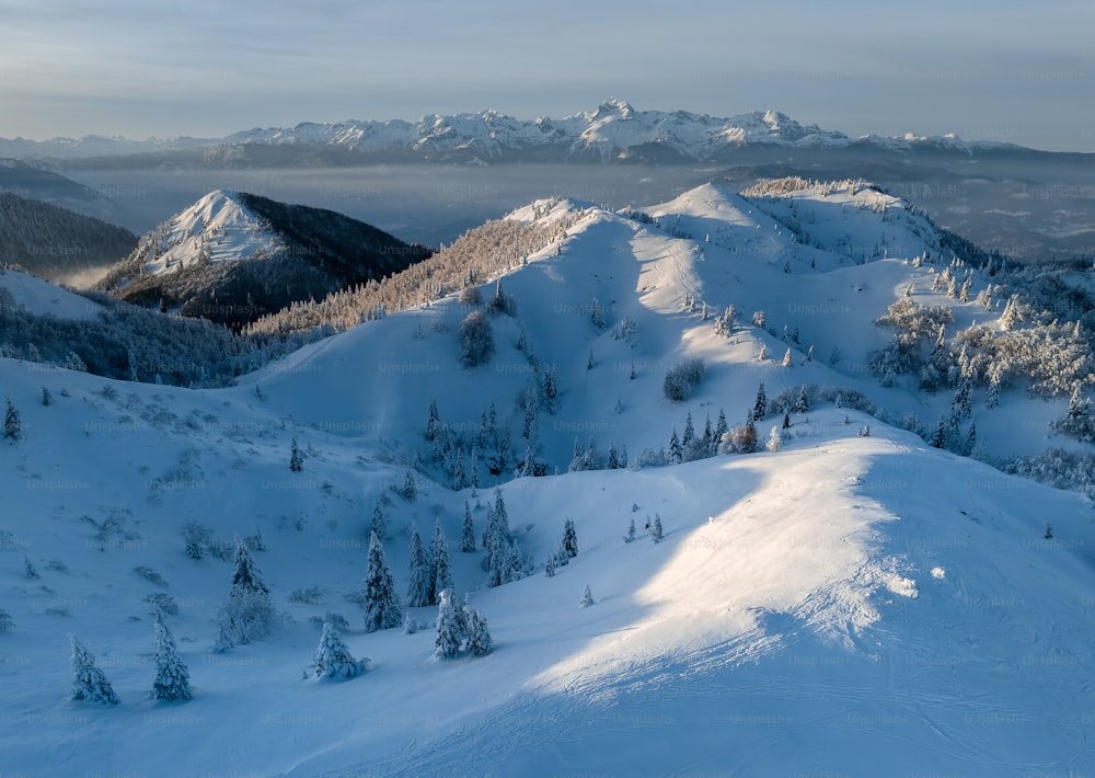 uma vista de uma montanha nevada com árvores e montanhas ao fundo