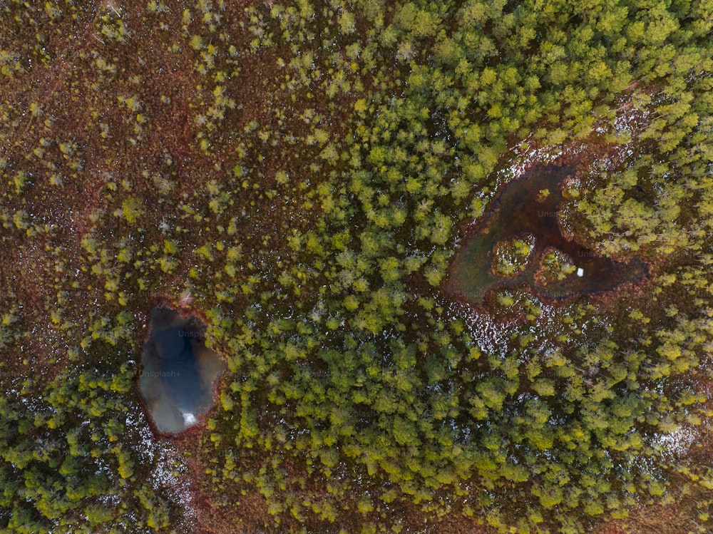 a bird's eye view of a tree covered area