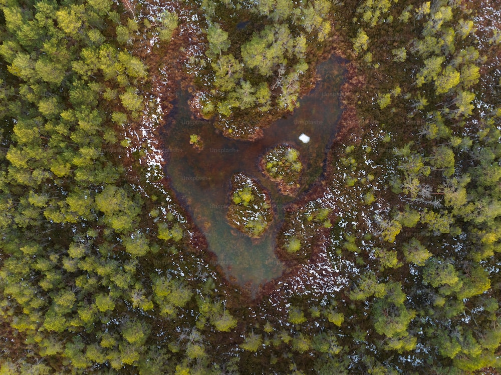 a bird's eye view of a pond in the middle of a forest