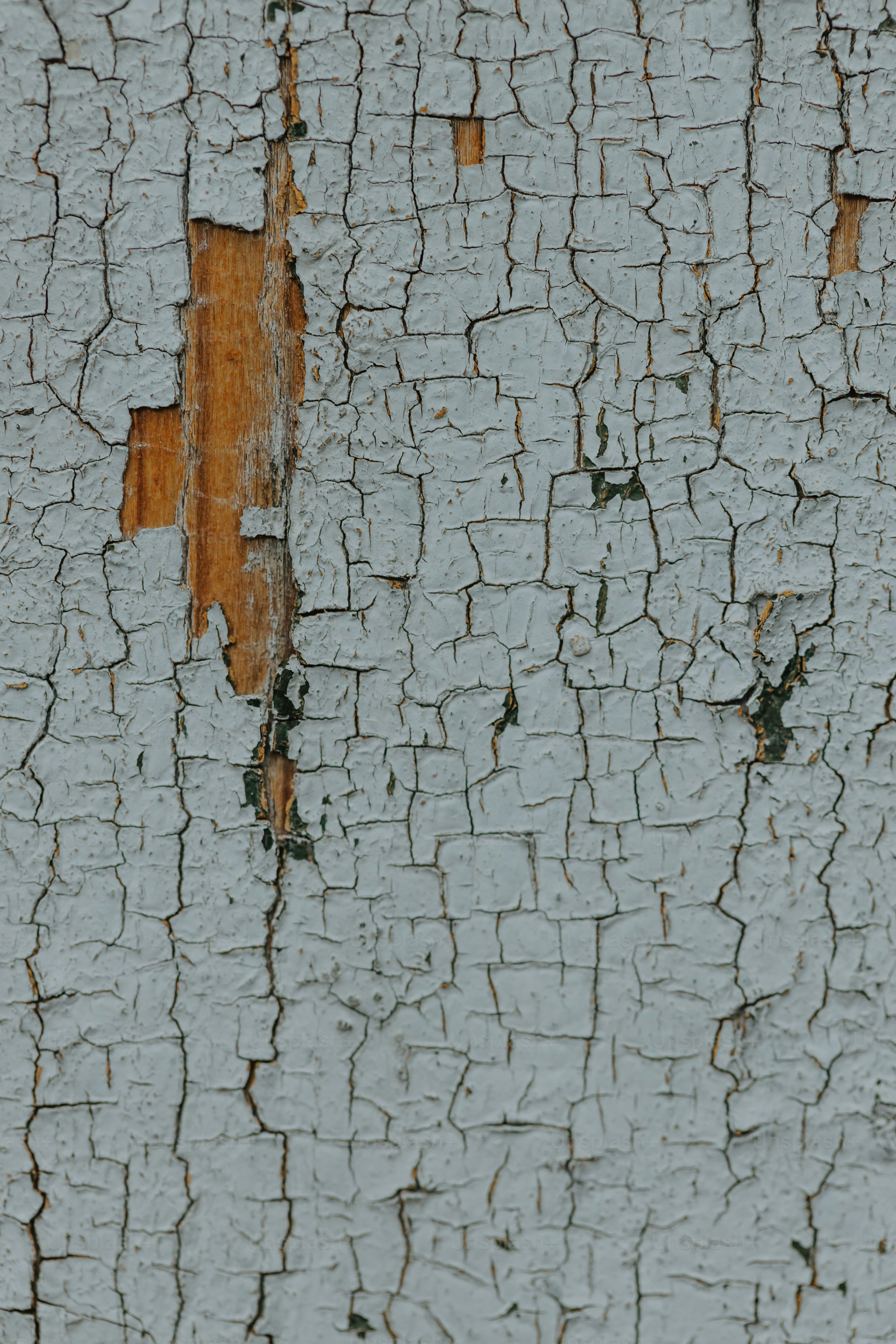 a bird is perched on a piece of wood