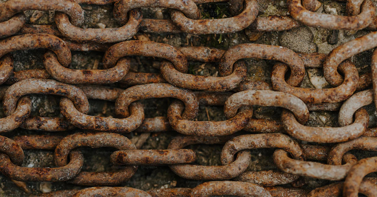 A close up of a chain on a tree photo – Chains Image on Unsplash