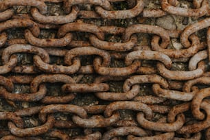 Un primer plano de una cadena en un árbol