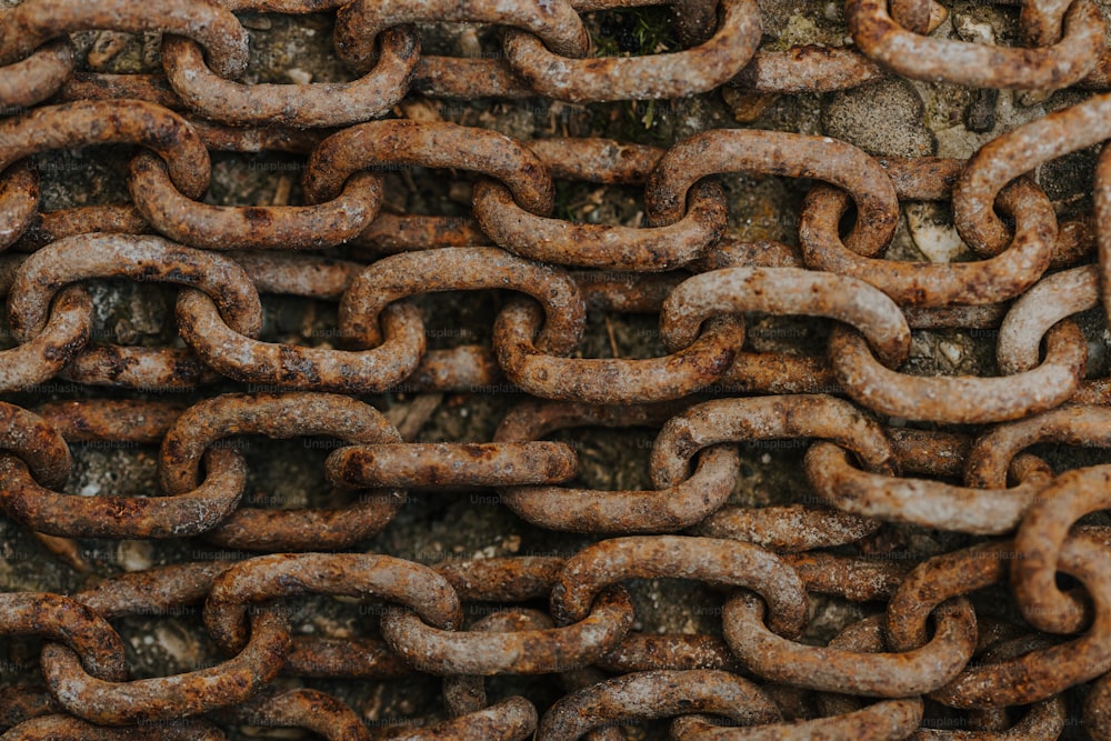a close up of a chain on a tree