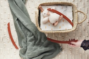 a person holding a stuffed animal in a basket