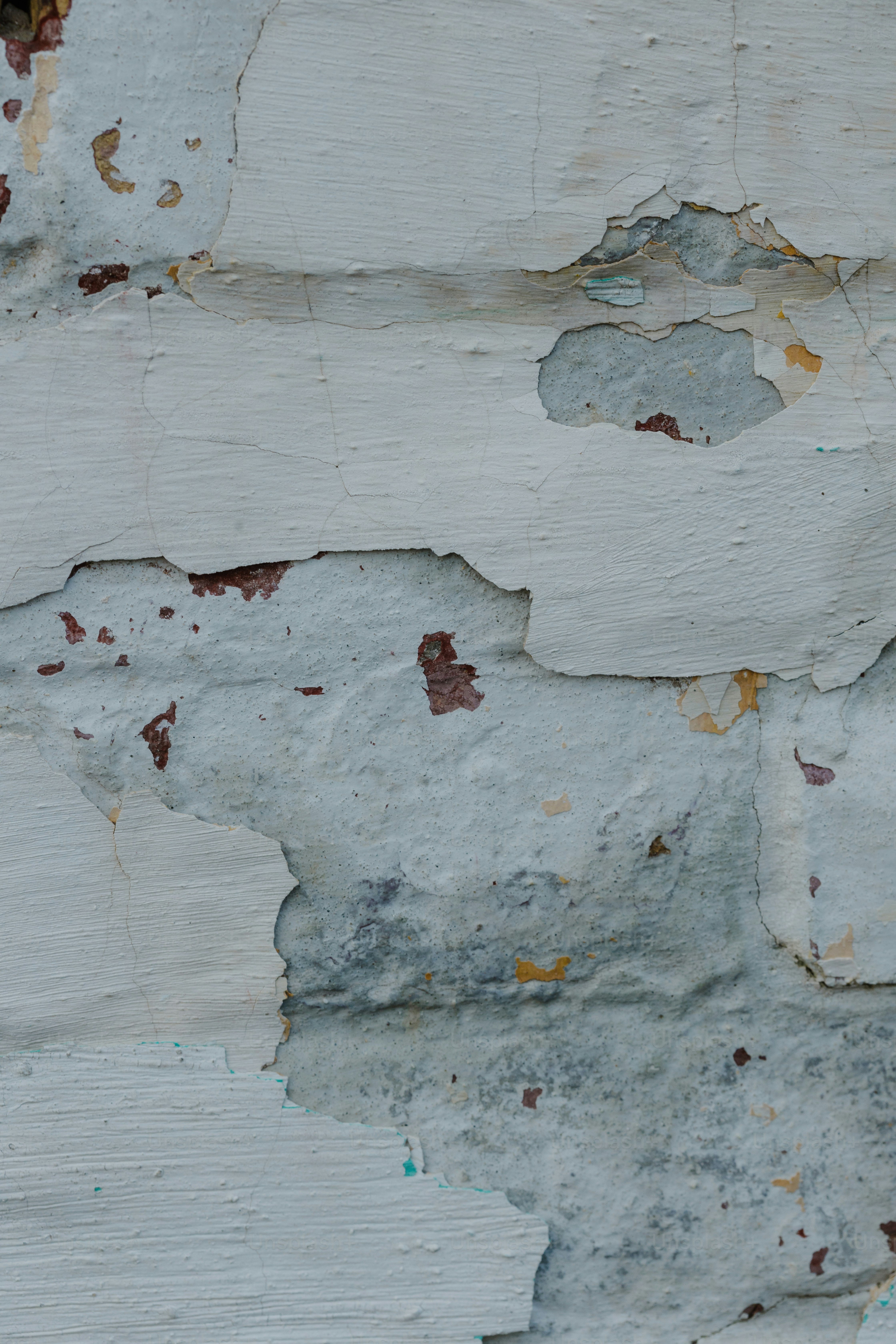 a bird is perched on a peeling white wall