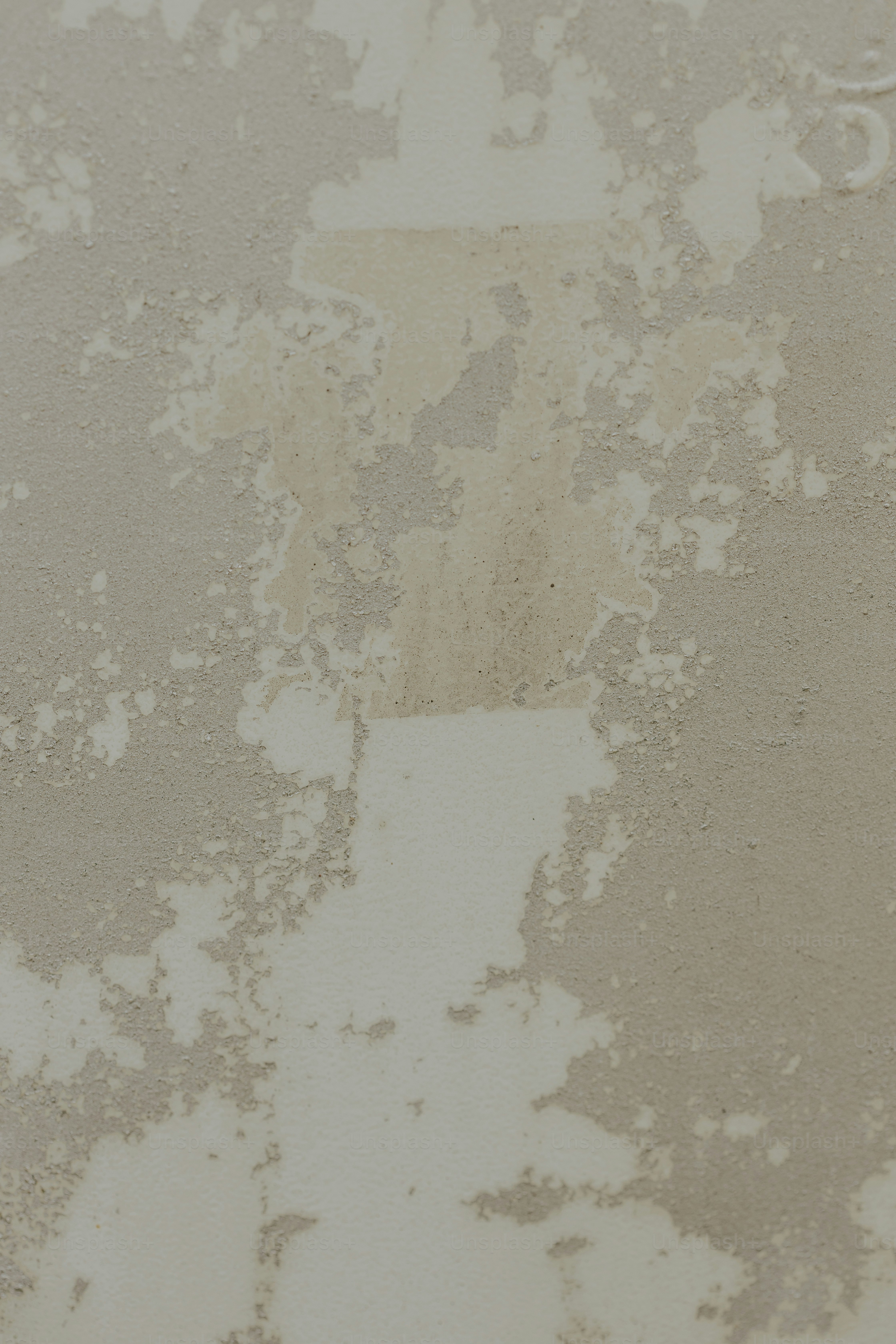 a black and white cat laying on the ground