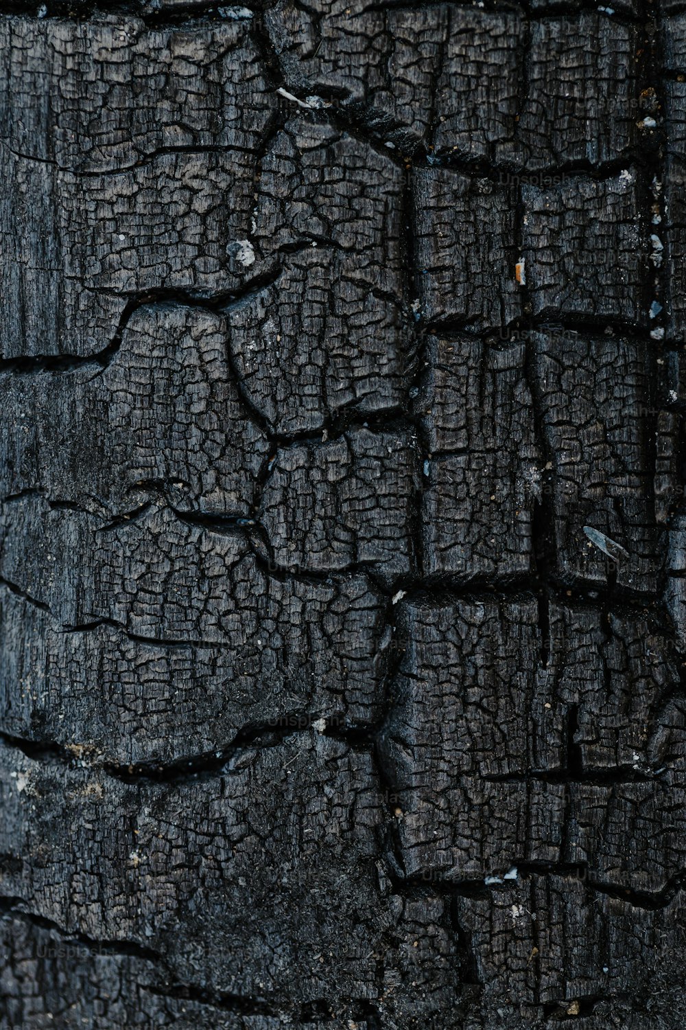 burnt wood texture seamless