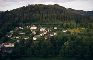 uma vista aérea de uma pequena aldeia aninhada em uma área florestal