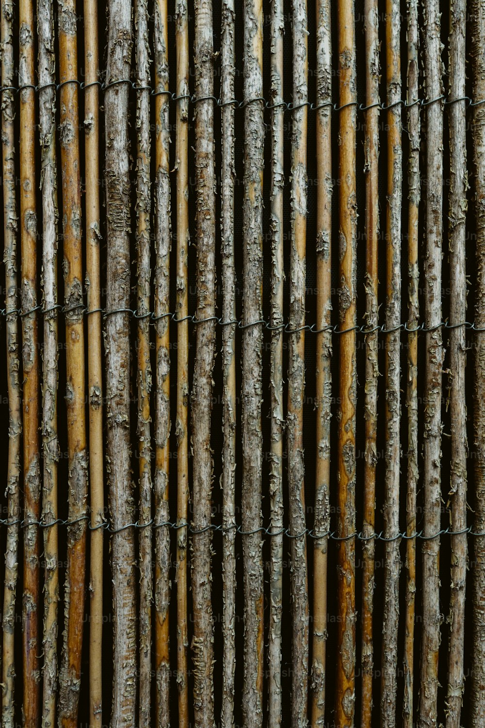 Una vista ravvicinata di una recinzione di bambù