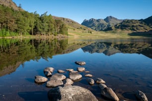 a body of water surrounded by mountains and trees