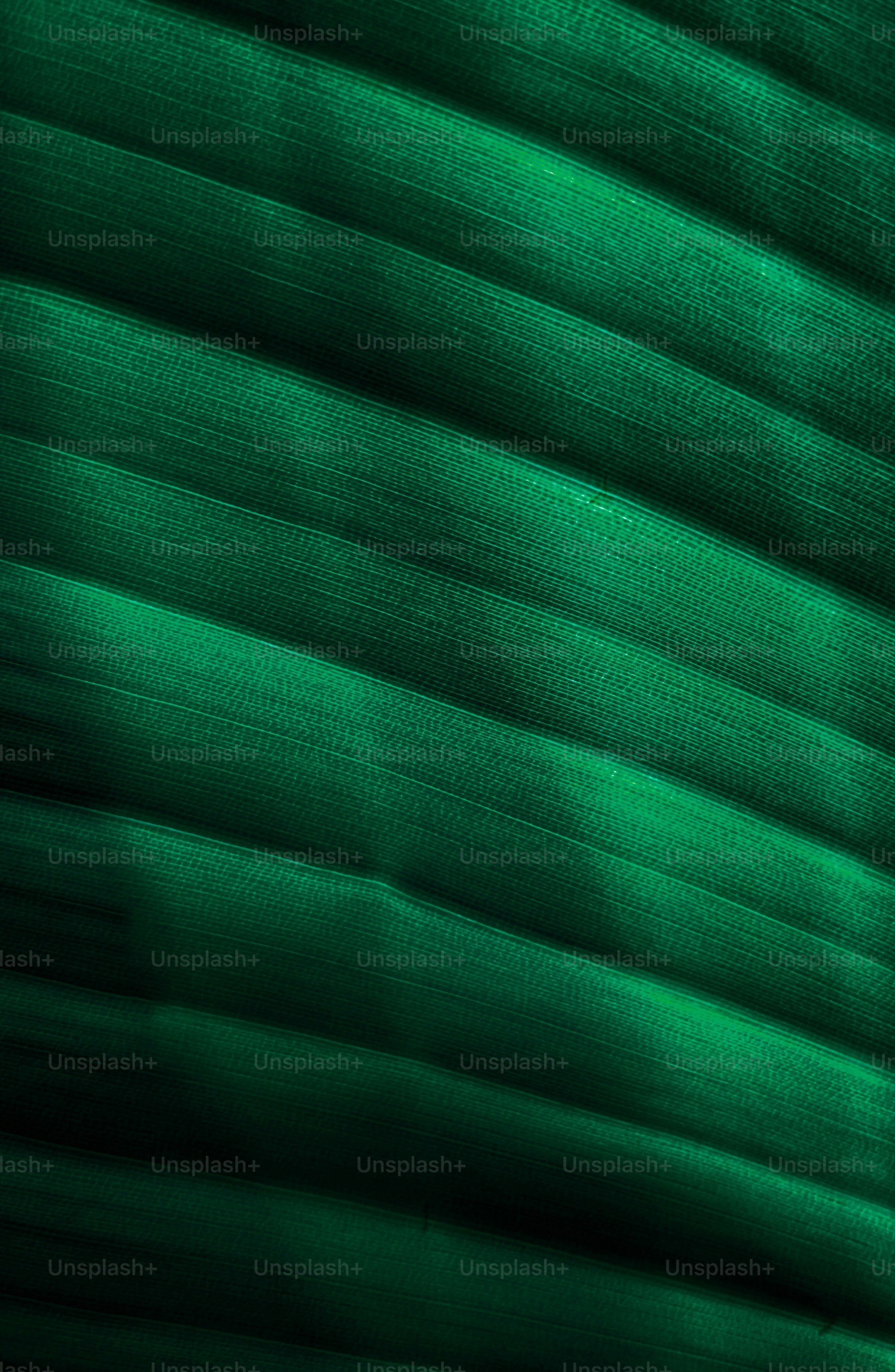 A close up of a green banana leaf photo – Plants background Image on