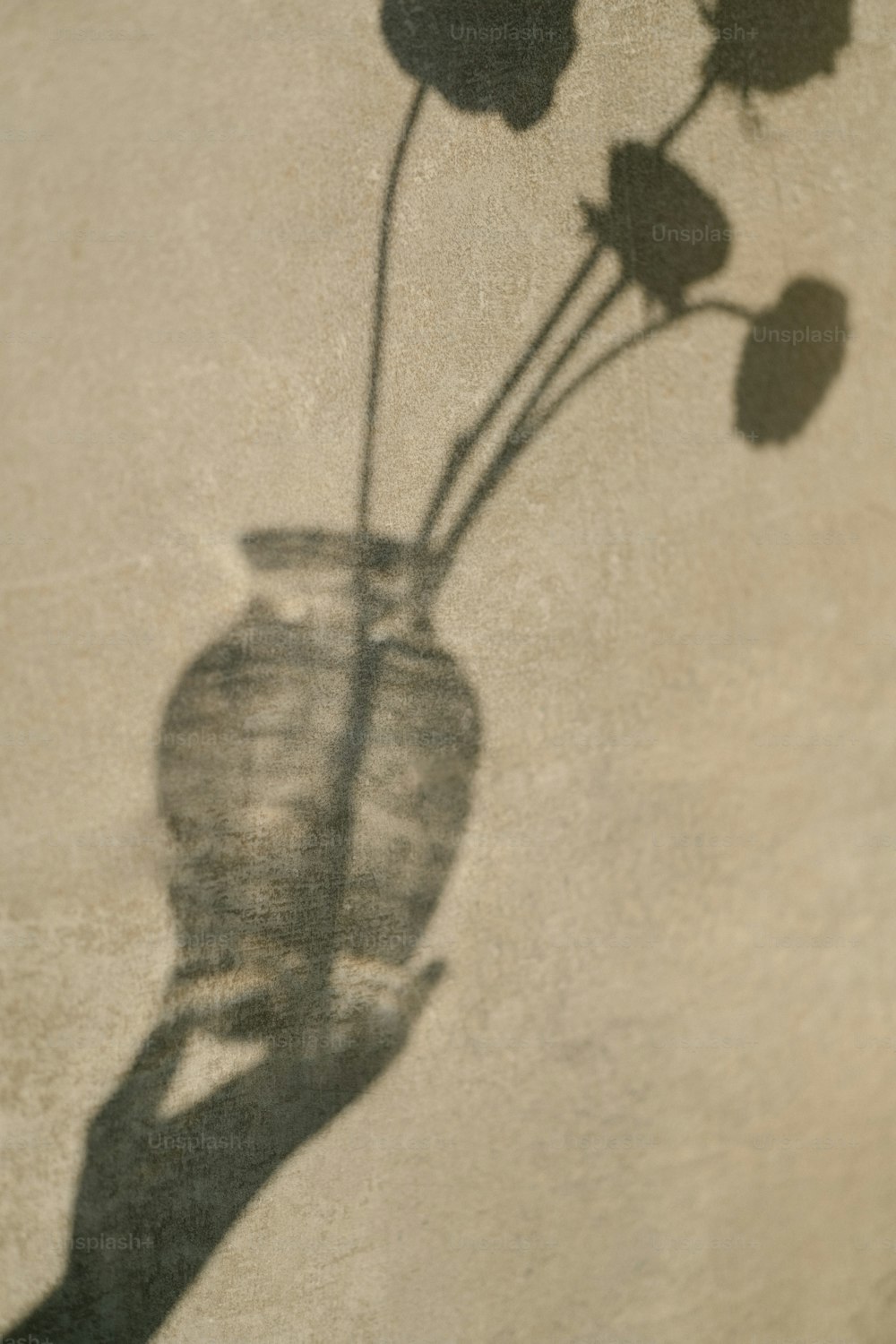 Ein Schatten einer Person, die eine Vase mit Blumen hält