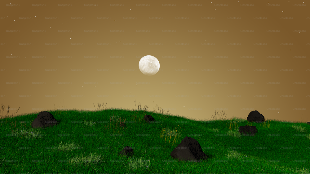 a grassy hill with rocks and grass under a full moon