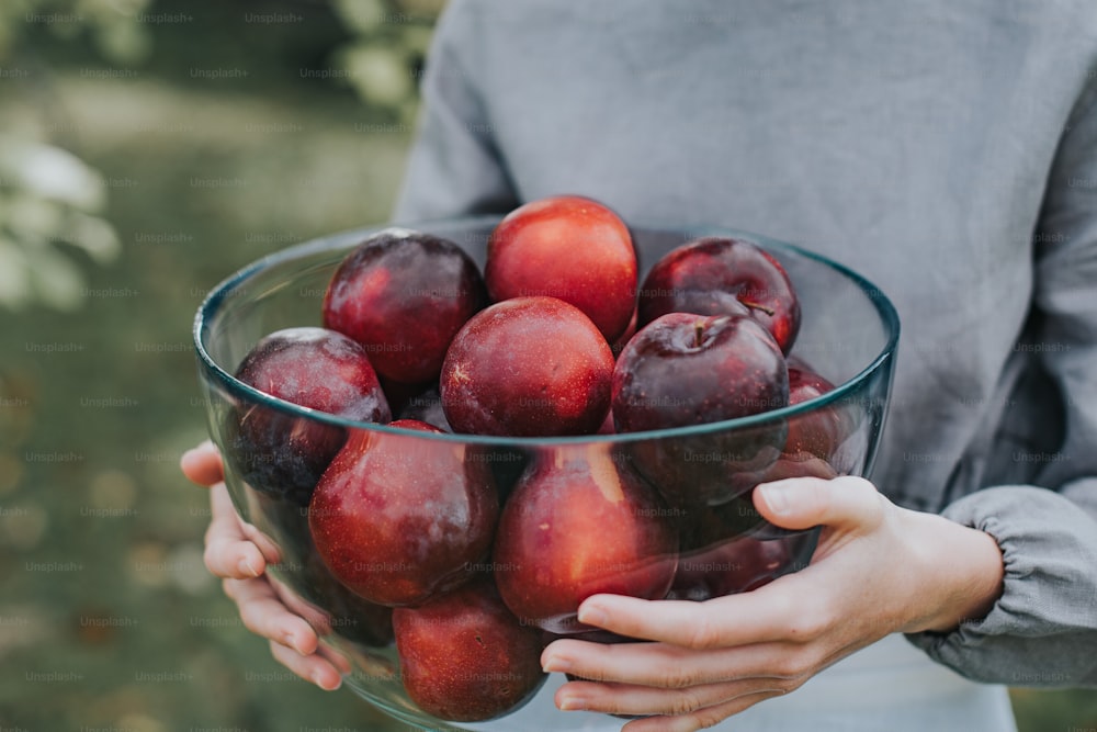 a person holding a bowl of plums in their hands