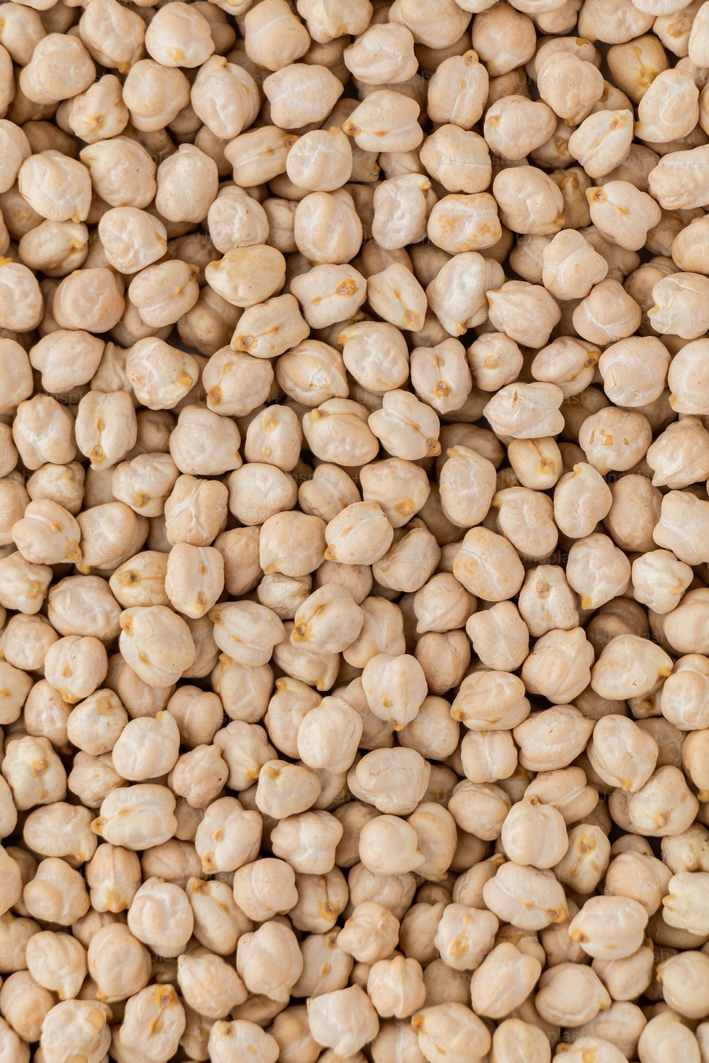a close up of a bunch of chickpeas