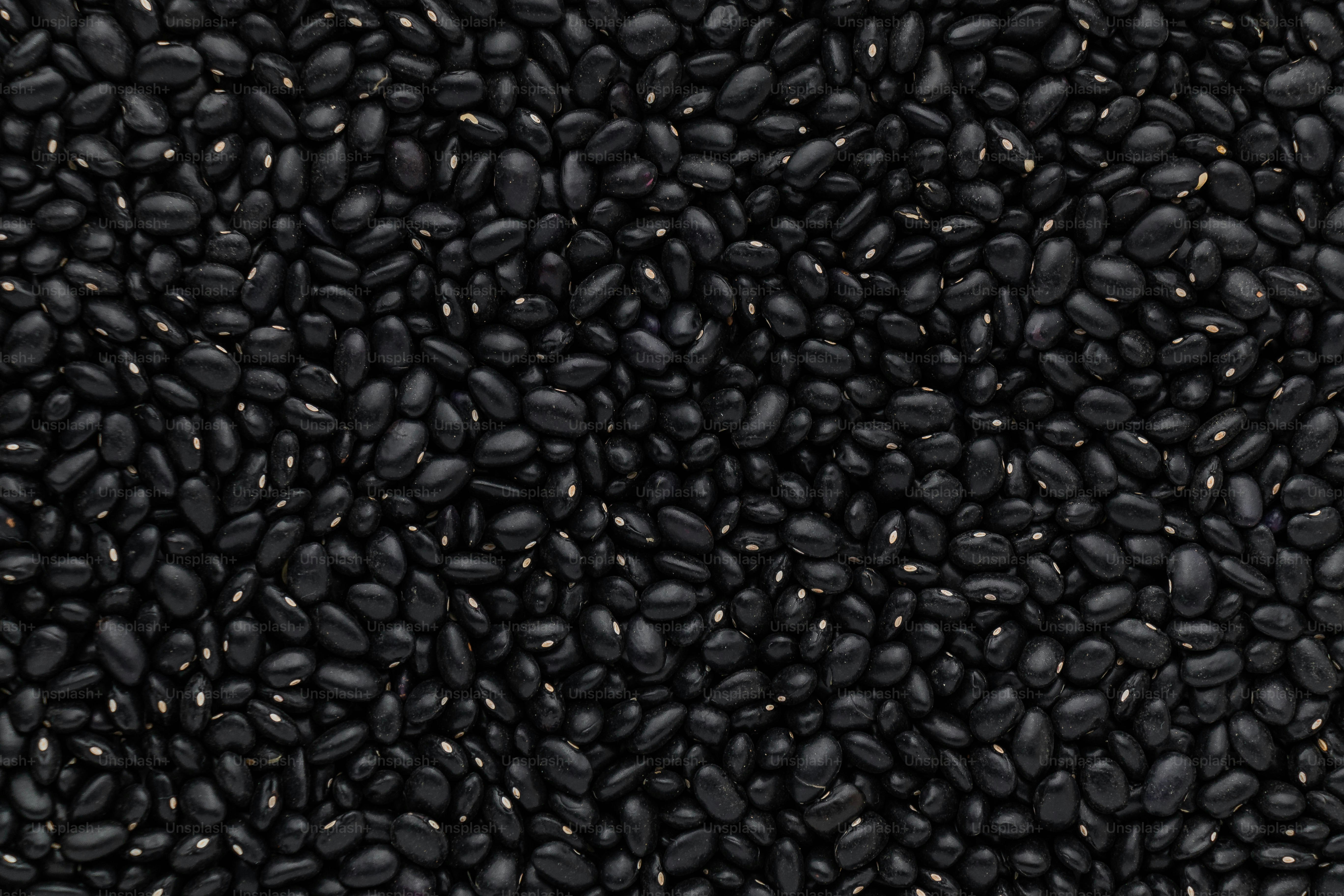 사방에있는 많은 검은 콩