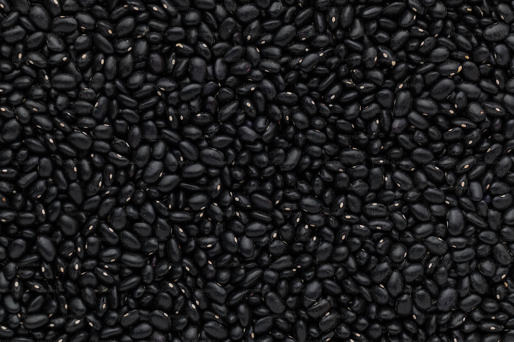 a lot of black beans that are all over the place