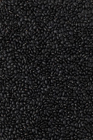 a bunch of black beans that are all over the place