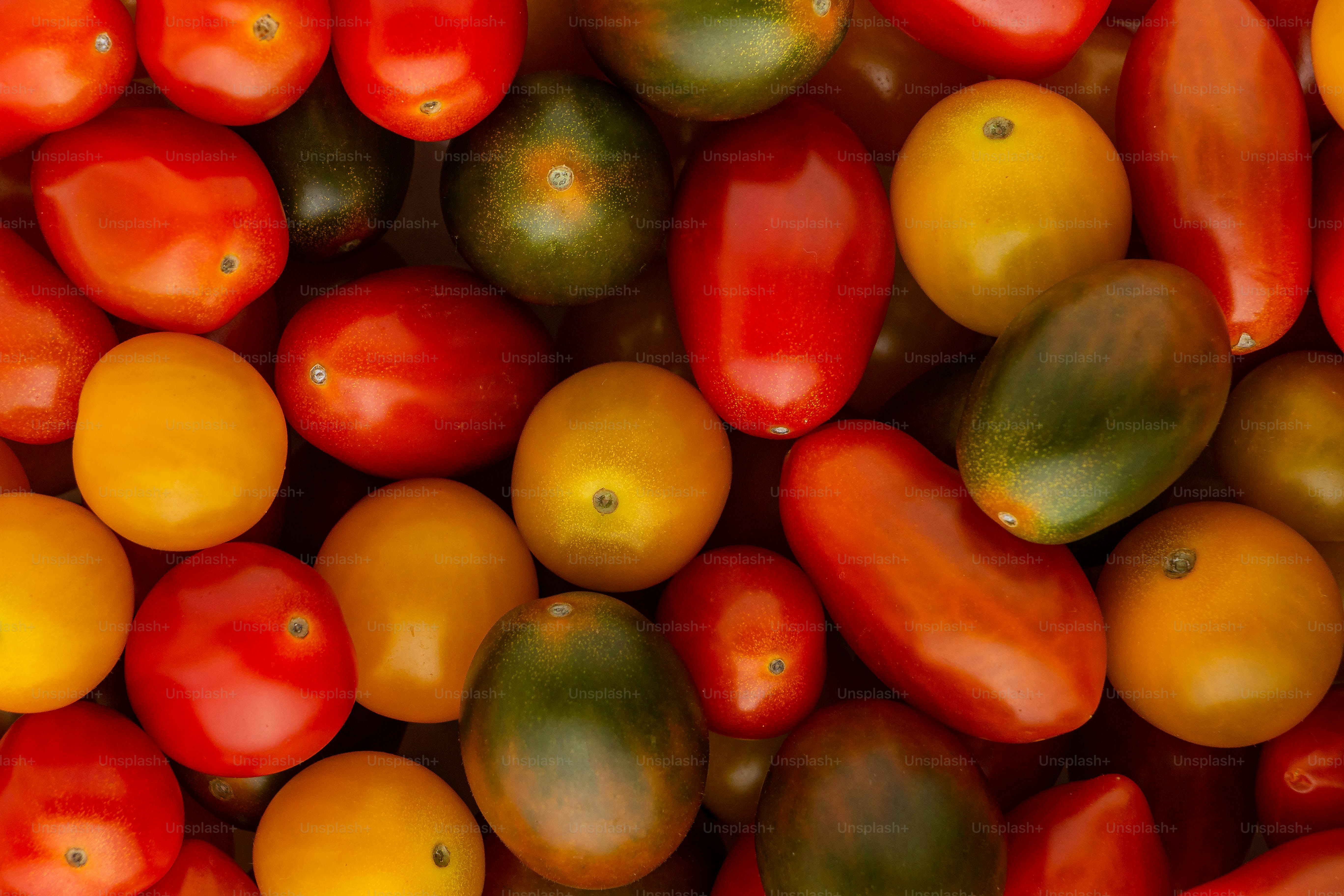 a pile of tomatoes and oranges sitting next to each other