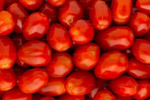 um close up de um monte de tomates vermelhos