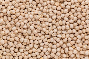 a close up of a bunch of chickpeas