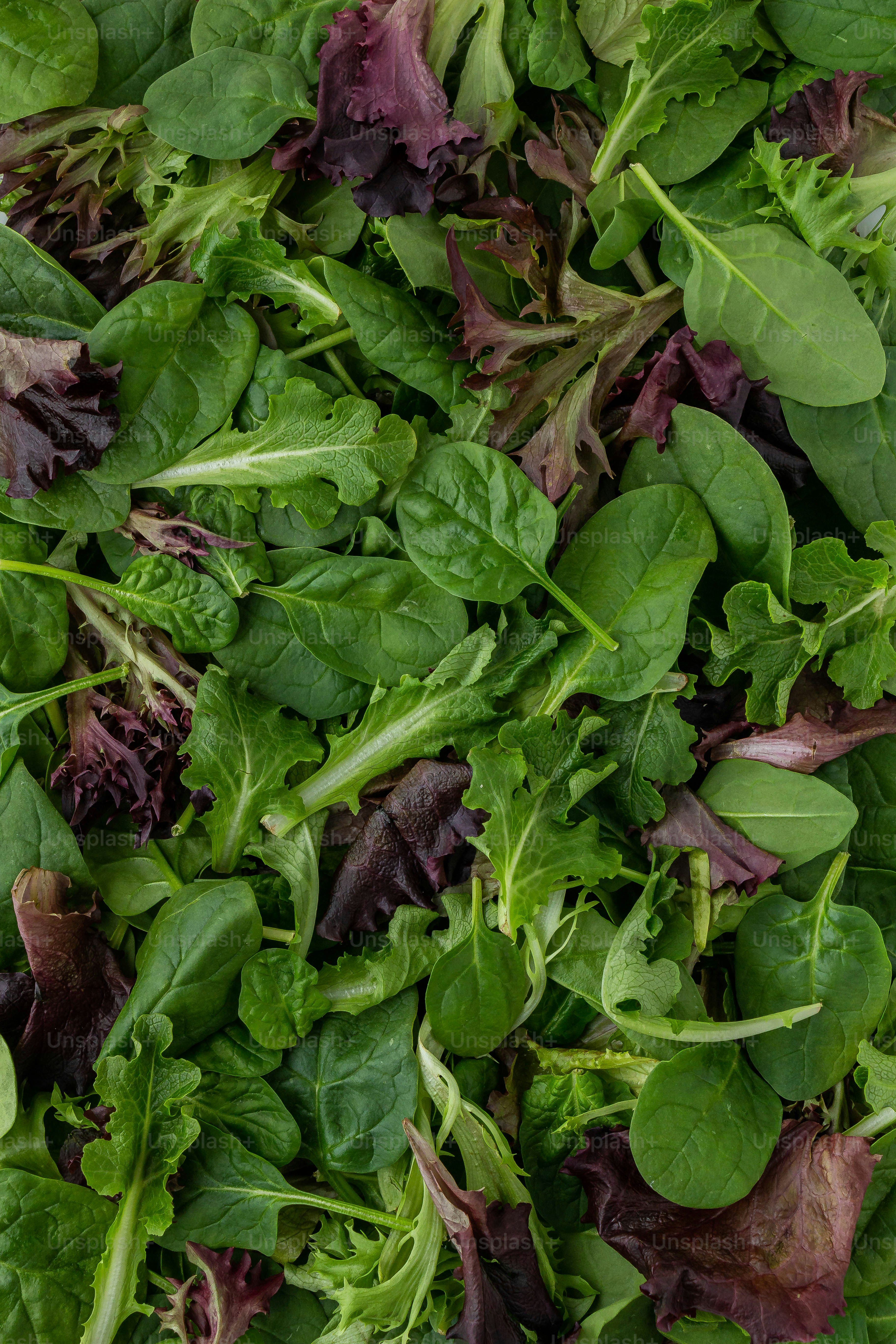 ein Haufen grünes und violettes Blattgemüse