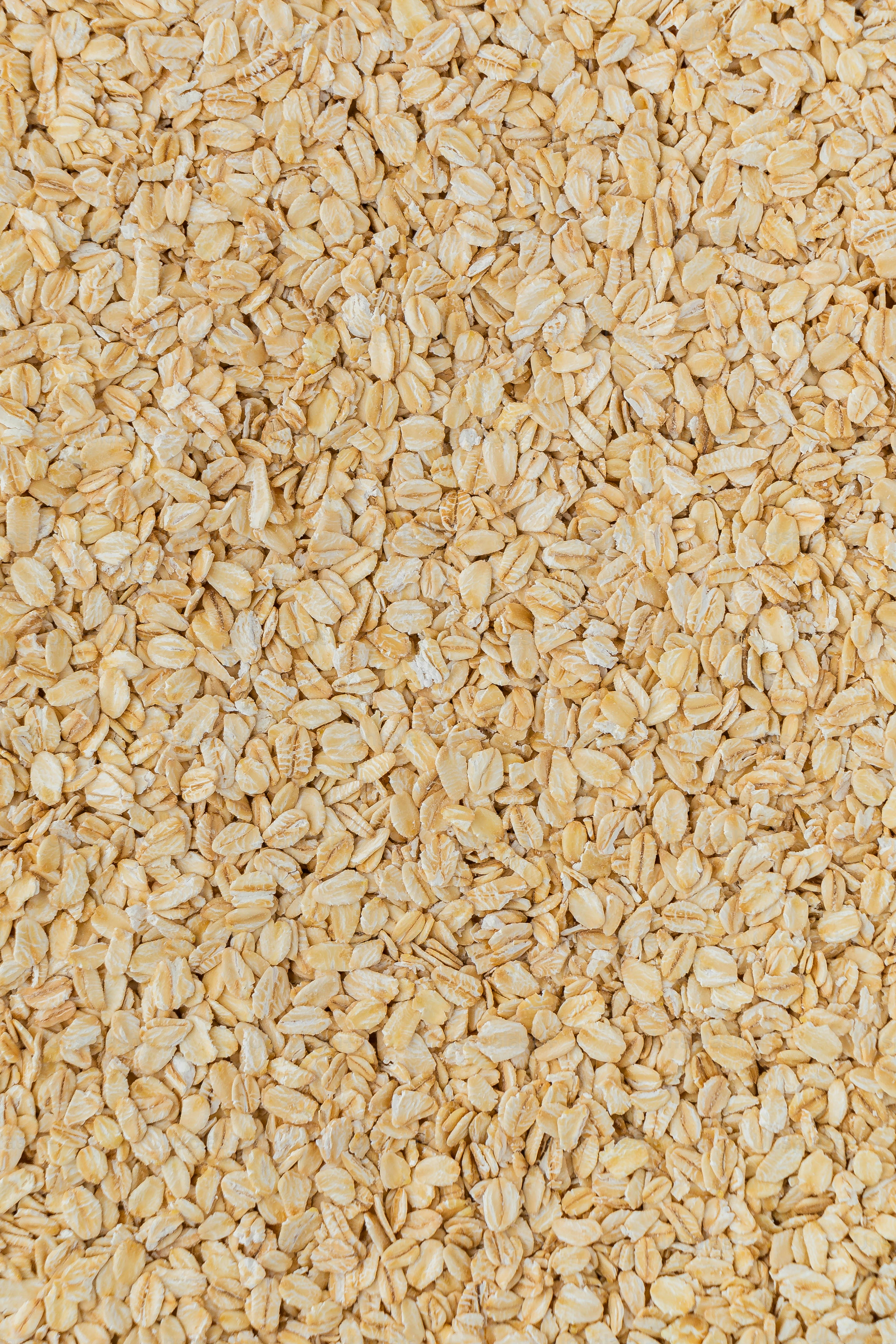 a close up of a pile of oats
