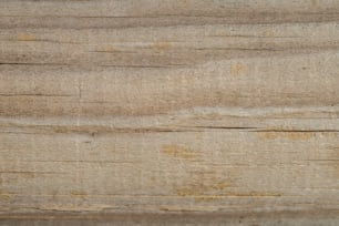 a close up of a piece of wood