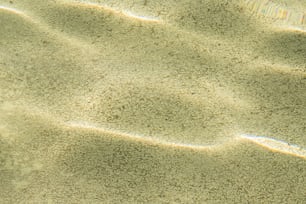 uma praia de areia com uma pequena quantidade de areia
