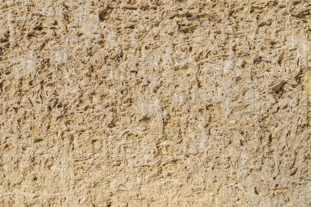 a close up of a wall with a clock on it