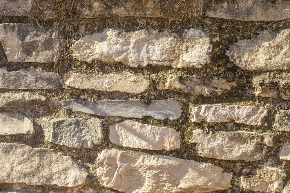 un gros plan d’un mur de briques avec de l’herbe qui pousse dessus