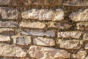 a close up of a brick wall with grass growing on it